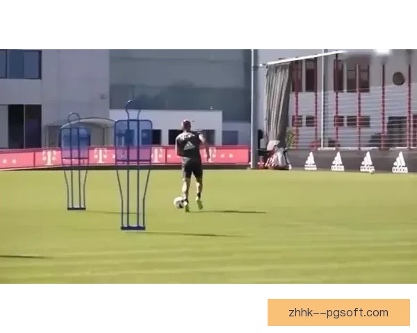 拜仁安联球场宣布下赛季全面启用可降解环保塑料杯推动绿色环保行动